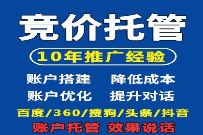 SEM托管服务案例：优化策略与效果展示